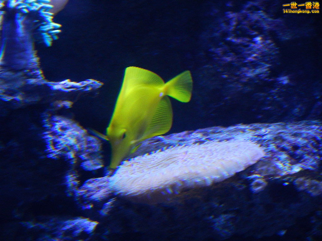 DSCN4907.JPG