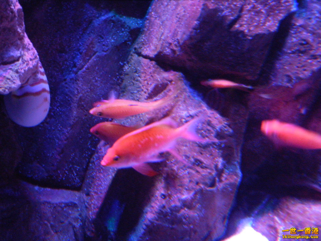 DSCN4936.JPG