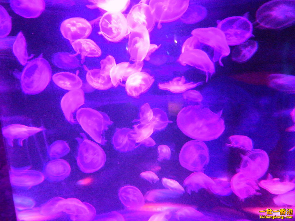DSCN4939.JPG