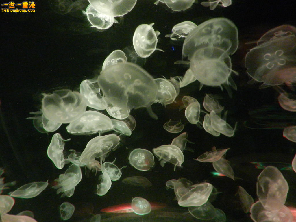 DSCN4941.JPG