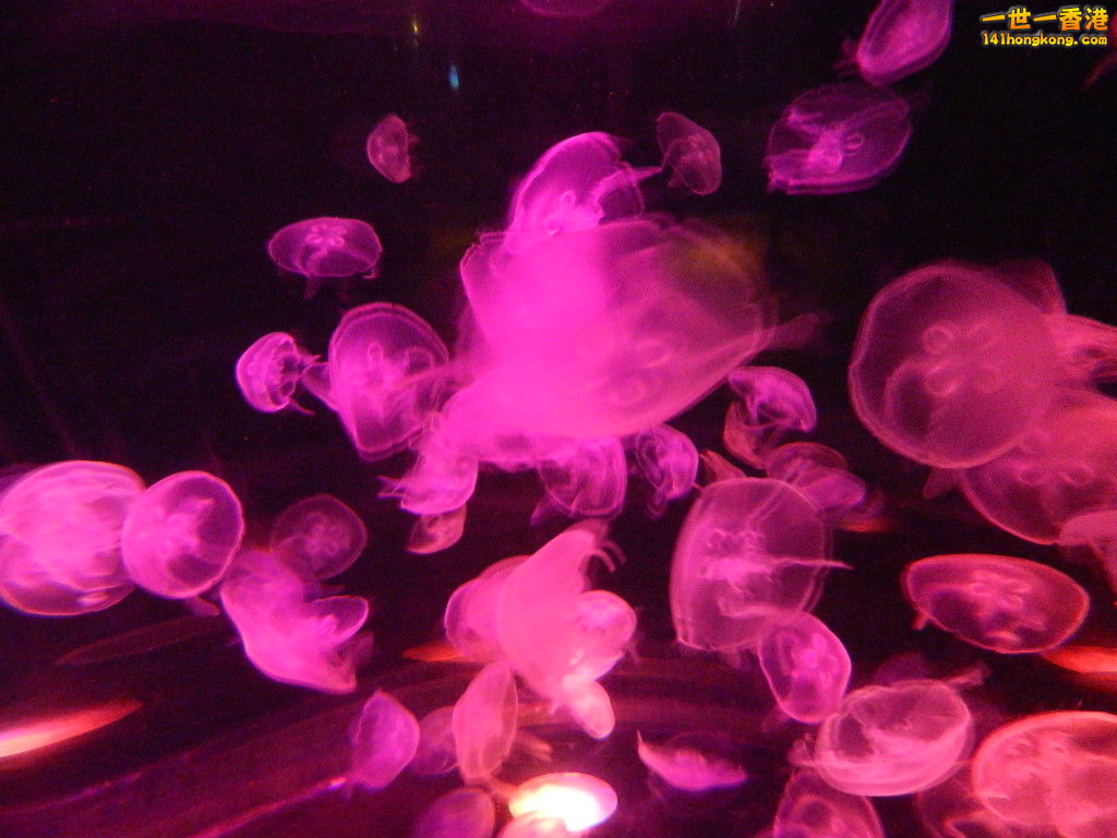 DSCN4942.JPG