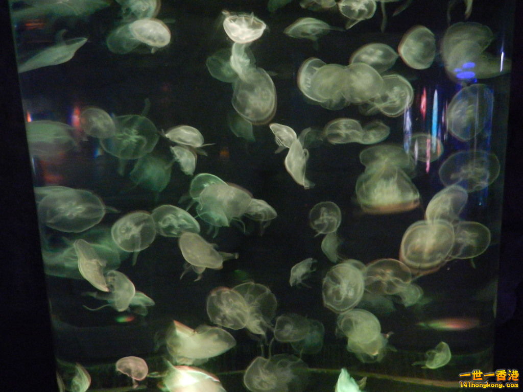 DSCN4947.JPG