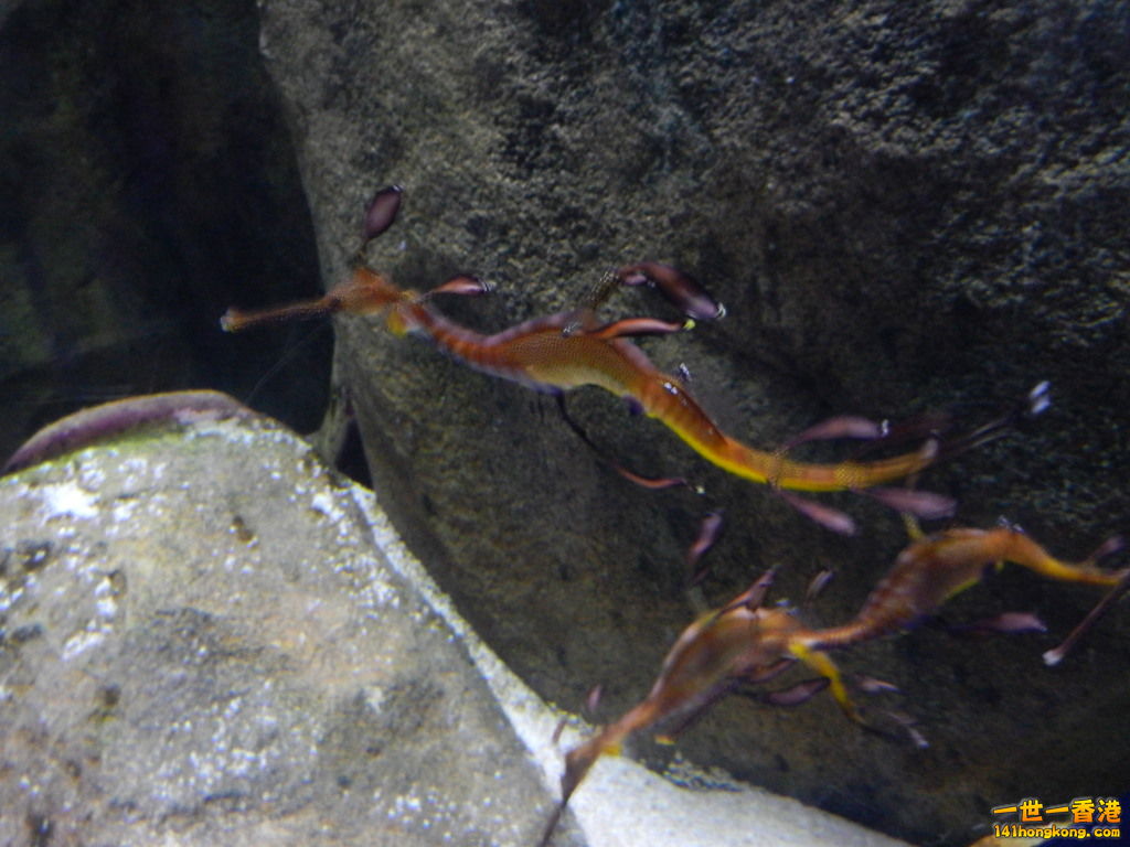 DSCN4951.JPG