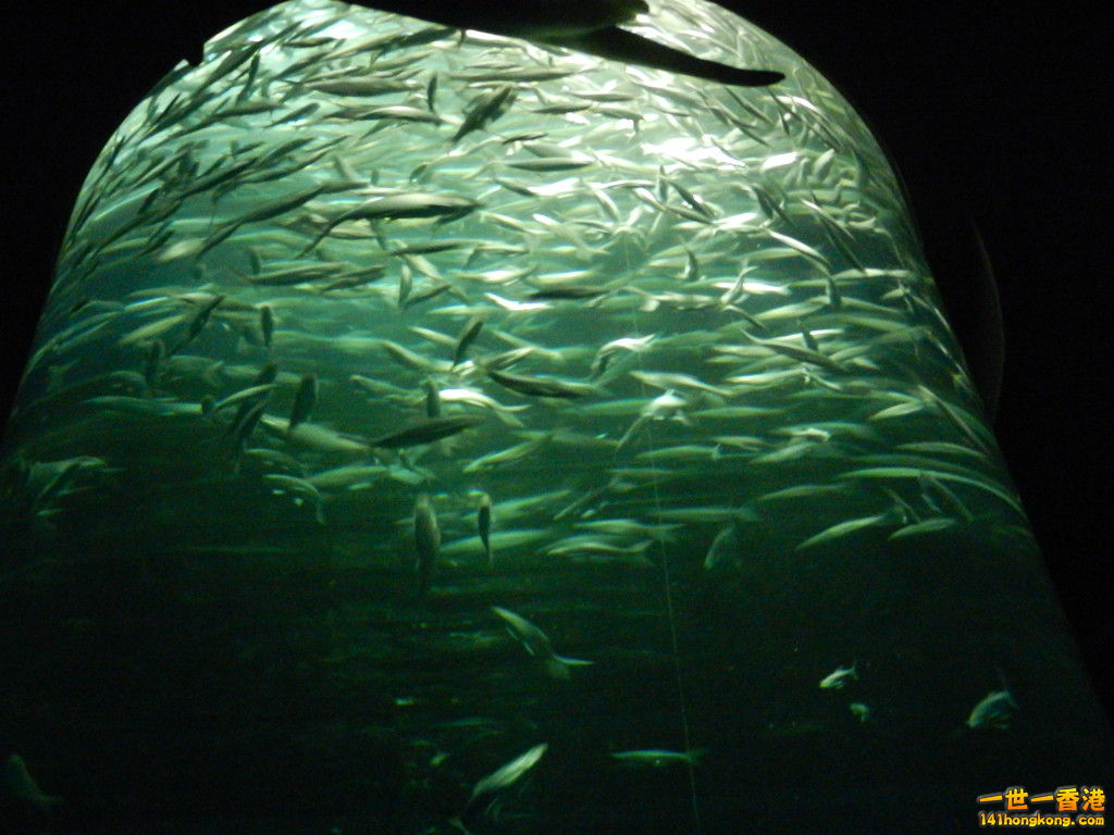DSCN4965.JPG