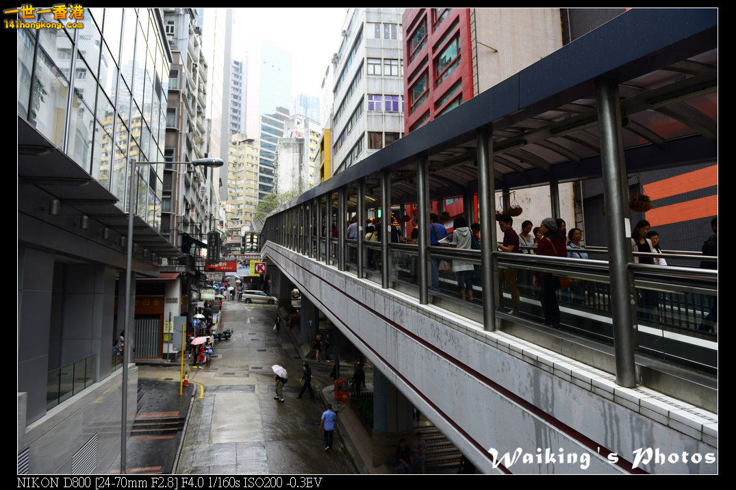 DSC_1960.jpg