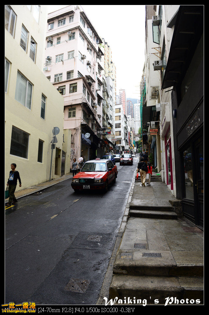 DSC_1997.jpg