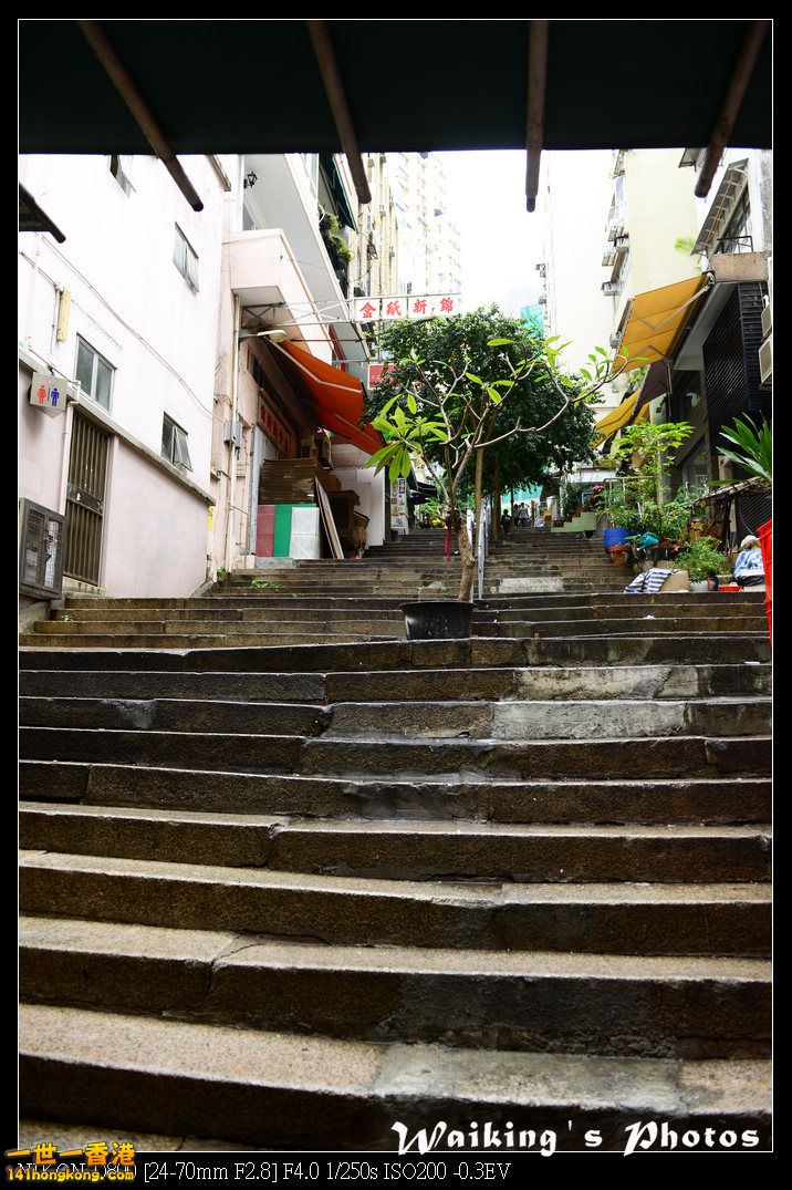 DSC_1999.jpg
