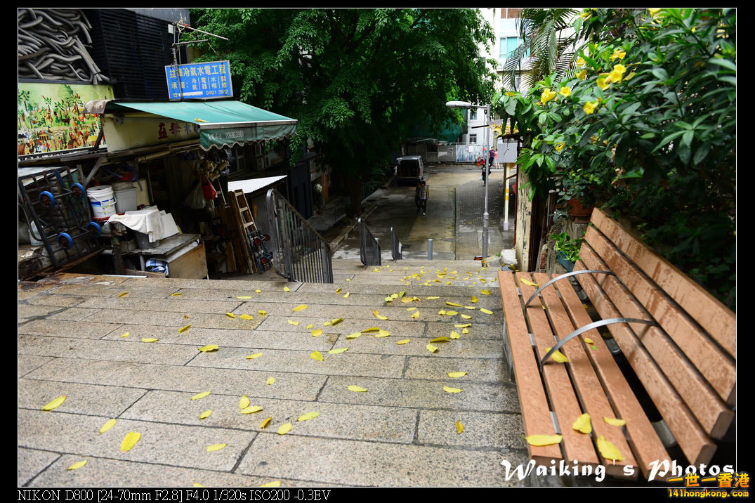 DSC_2000.jpg