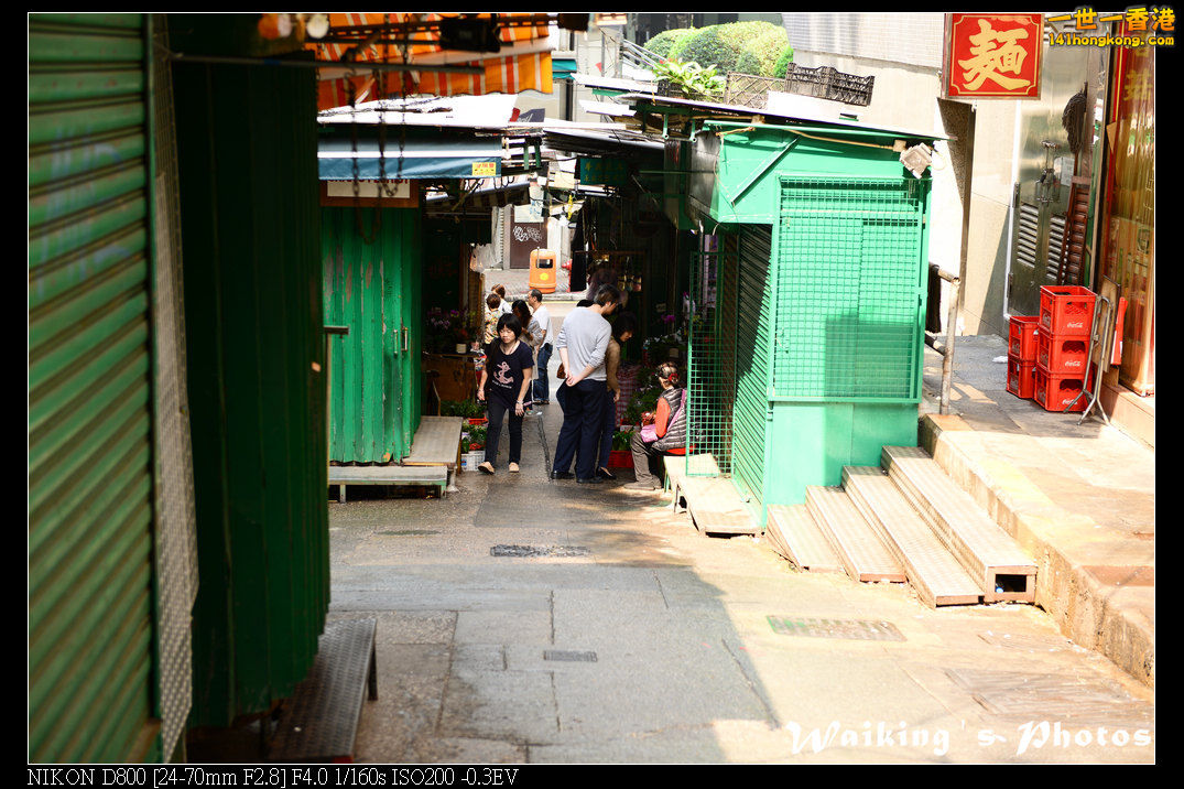 DSC_2011.jpg