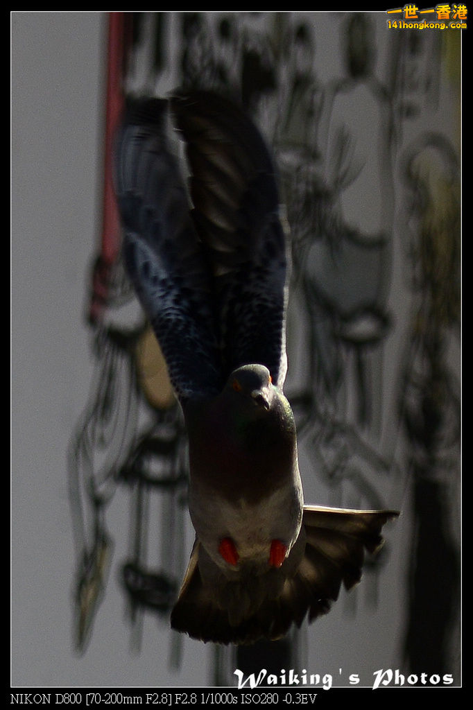 DSC_2074.jpg
