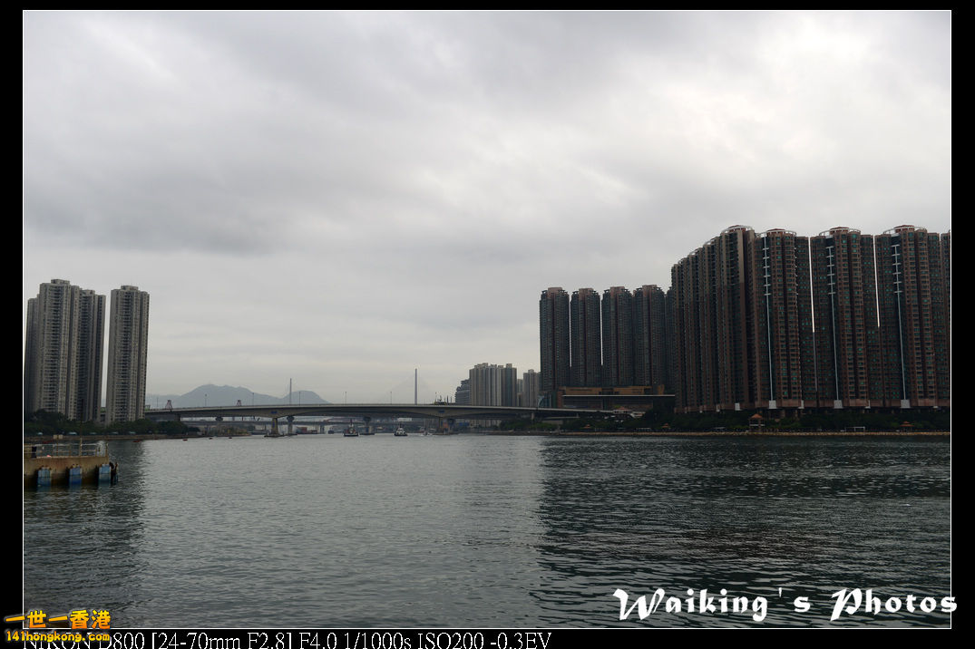 DSC_2128.jpg
