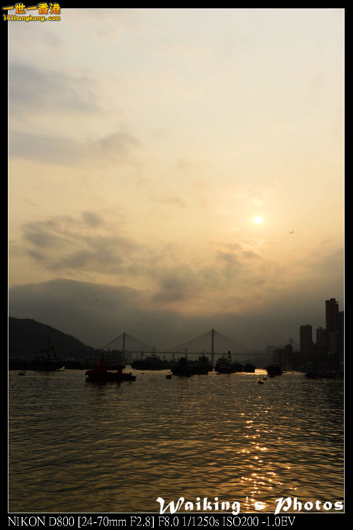 DSC_2141.jpg