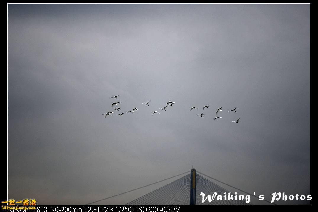 DSC_2157.jpg