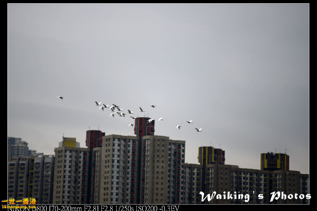 DSC_2162.jpg