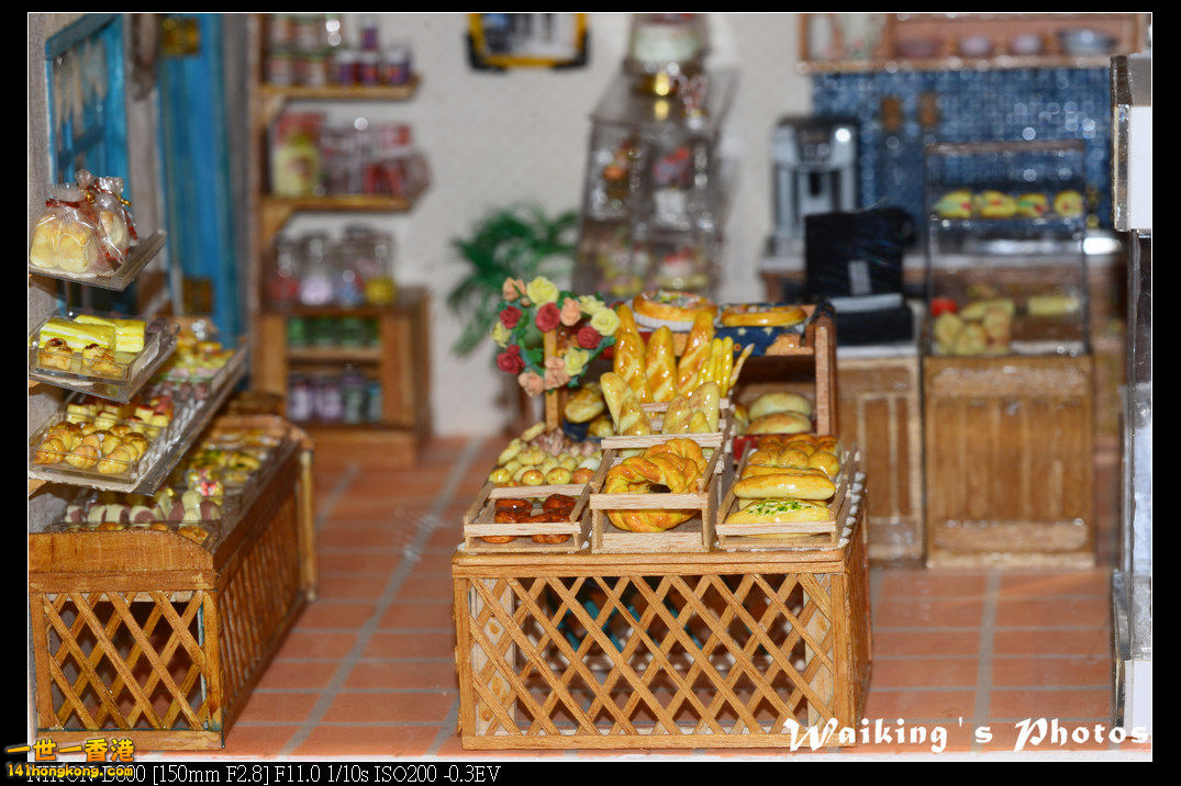 DSC_2294.jpg