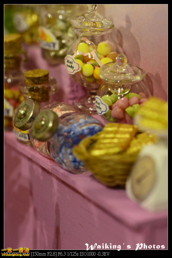 DSC_2323.jpg