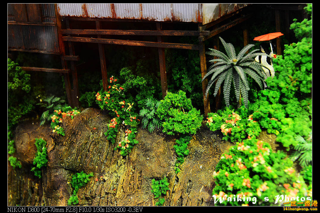 DSC_3145.jpg