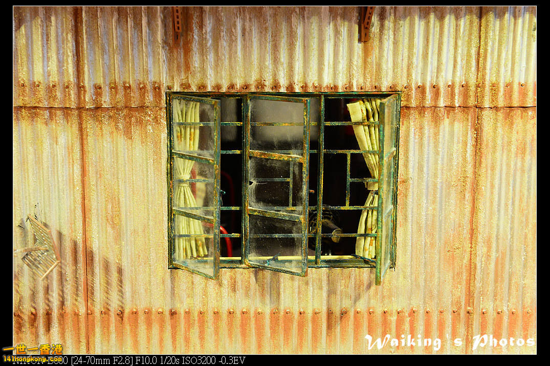 DSC_3150.jpg