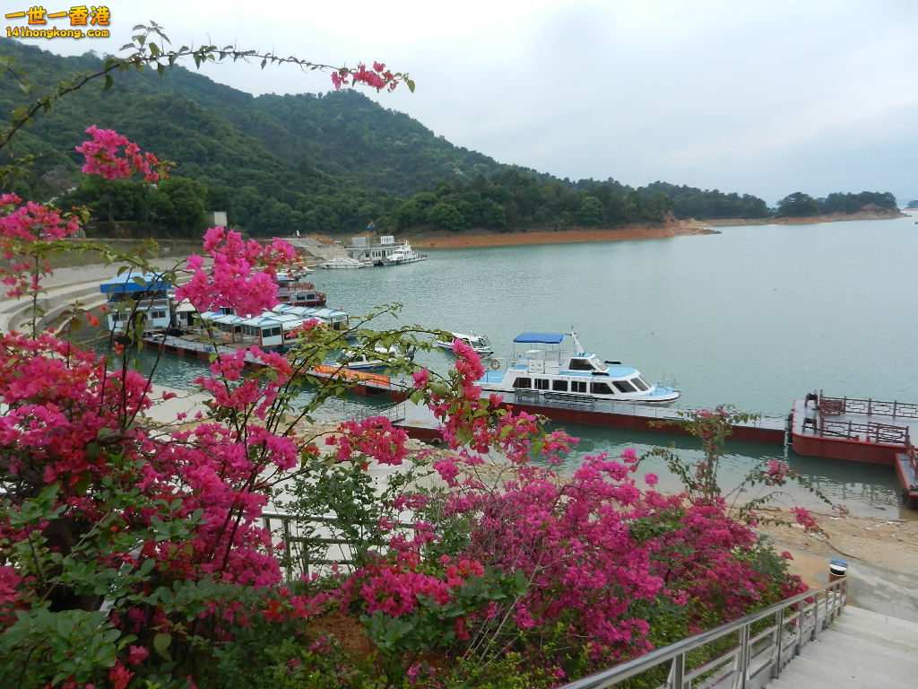 DSCN5173.JPG