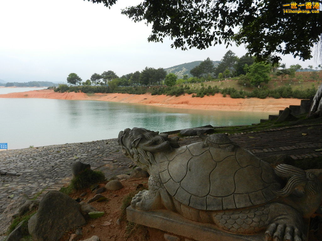 DSCN5310.JPG