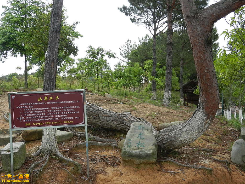 DSCN5336.JPG