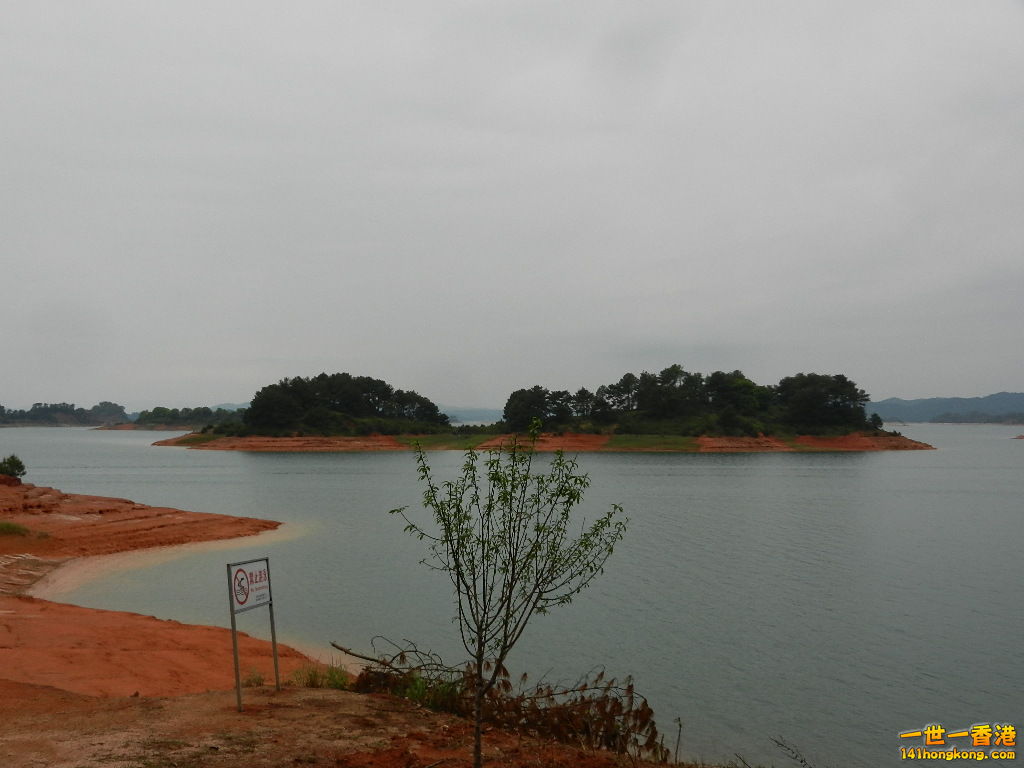DSCN5355.JPG