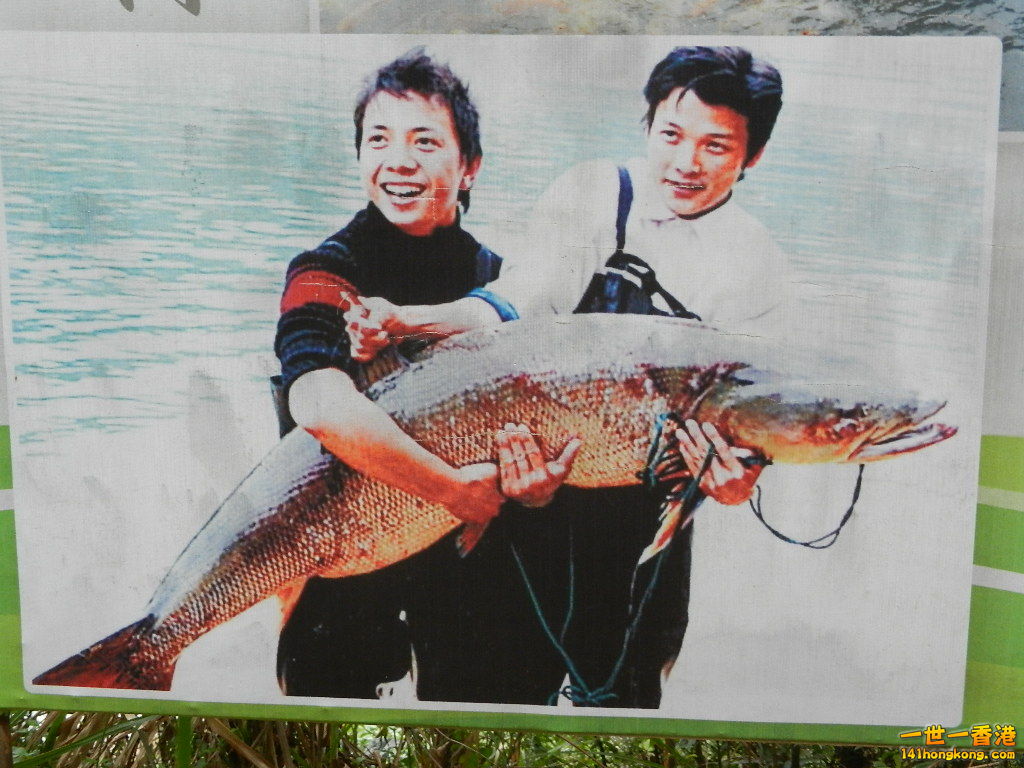 DSCN5397.JPG