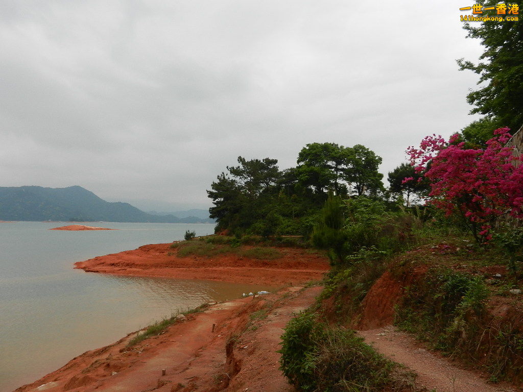 DSCN5403.JPG