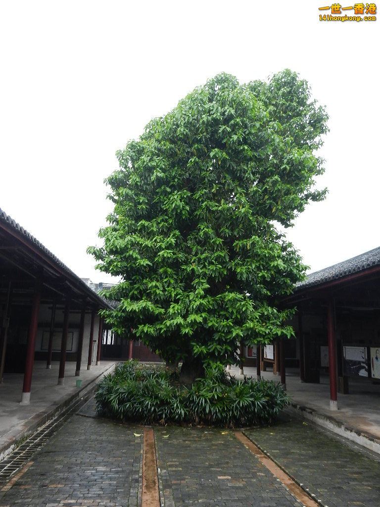 DSCN5567.JPG