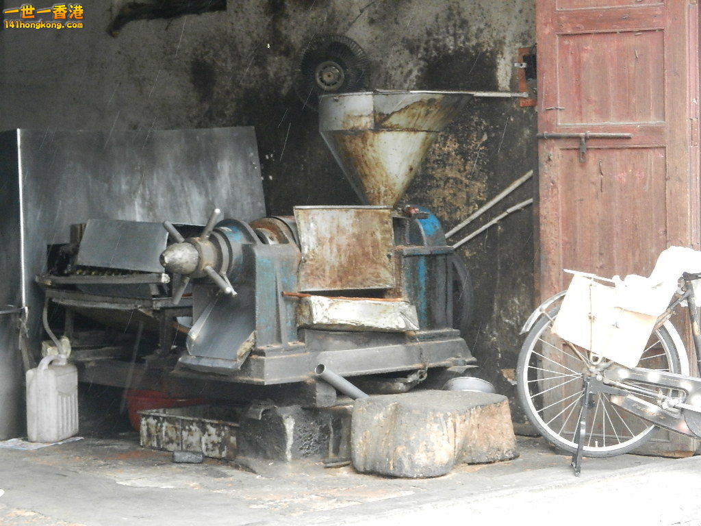DSCN5479.JPG