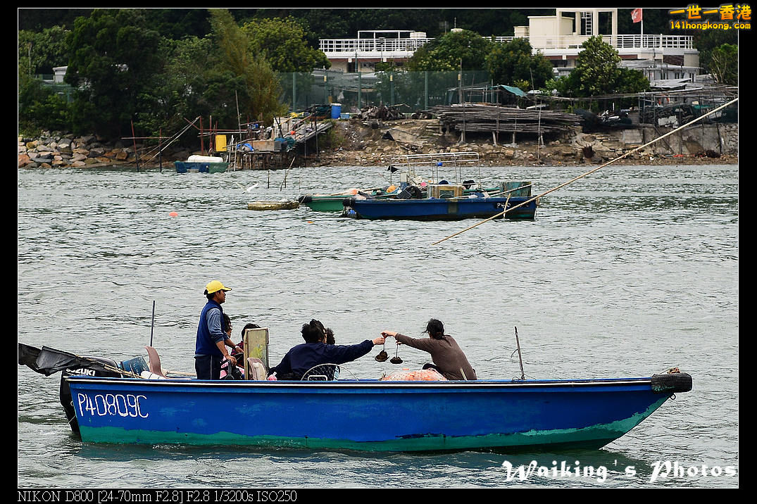 DSC_3003.jpg
