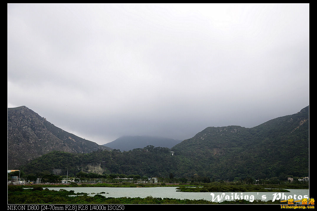 DSC_3005.jpg