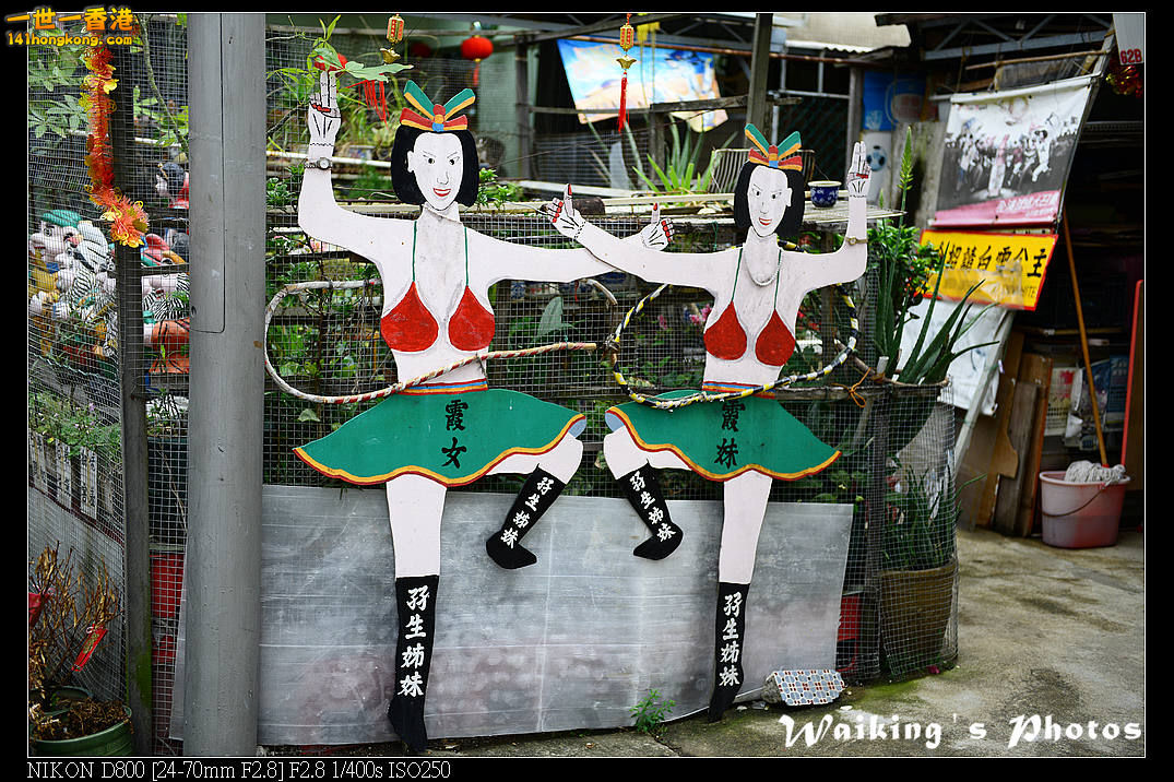 DSC_3037.jpg