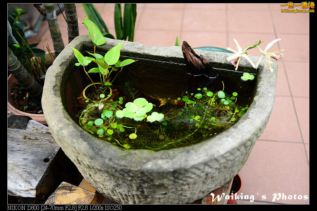 DSC_3051.jpg
