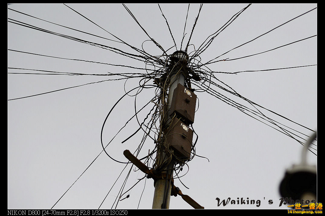 DSC_3061.jpg