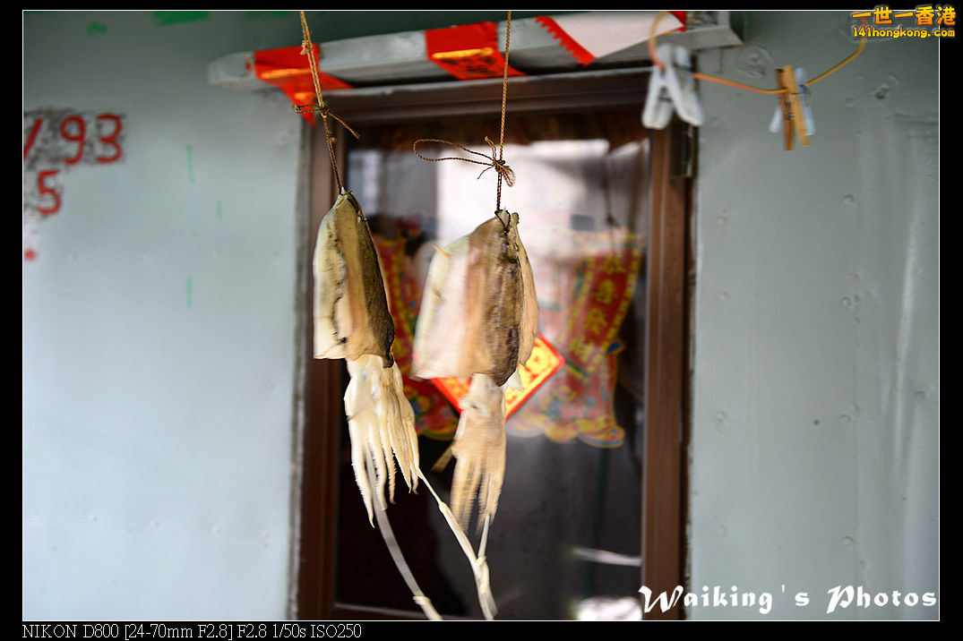 DSC_3066.jpg