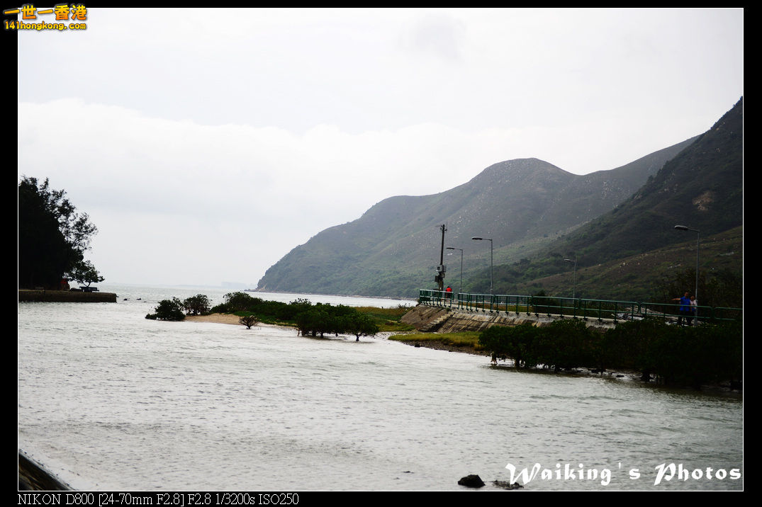 DSC_3076.jpg