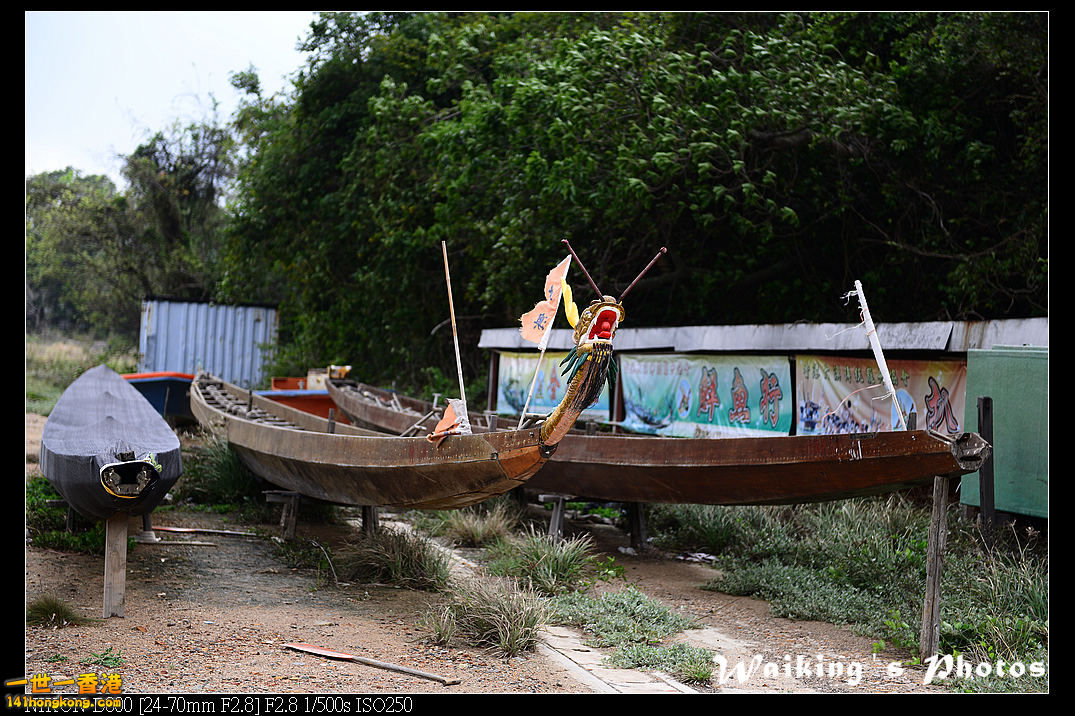DSC_3081.jpg