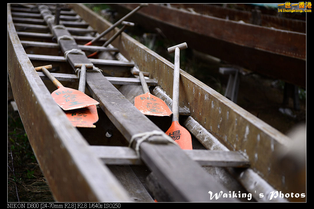 DSC_3083.jpg