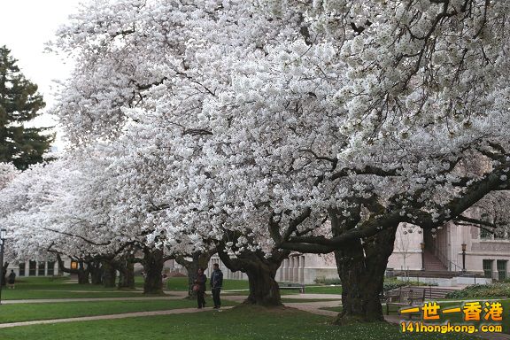 UW 058_1W.jpg