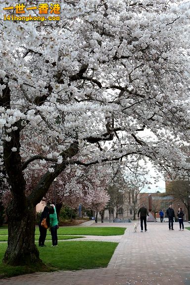 UW 044_1W.jpg