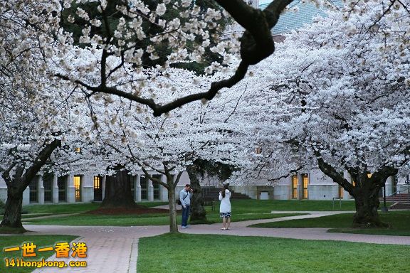 UW 103_1W.jpg