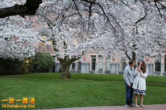UW 119_1W.jpg