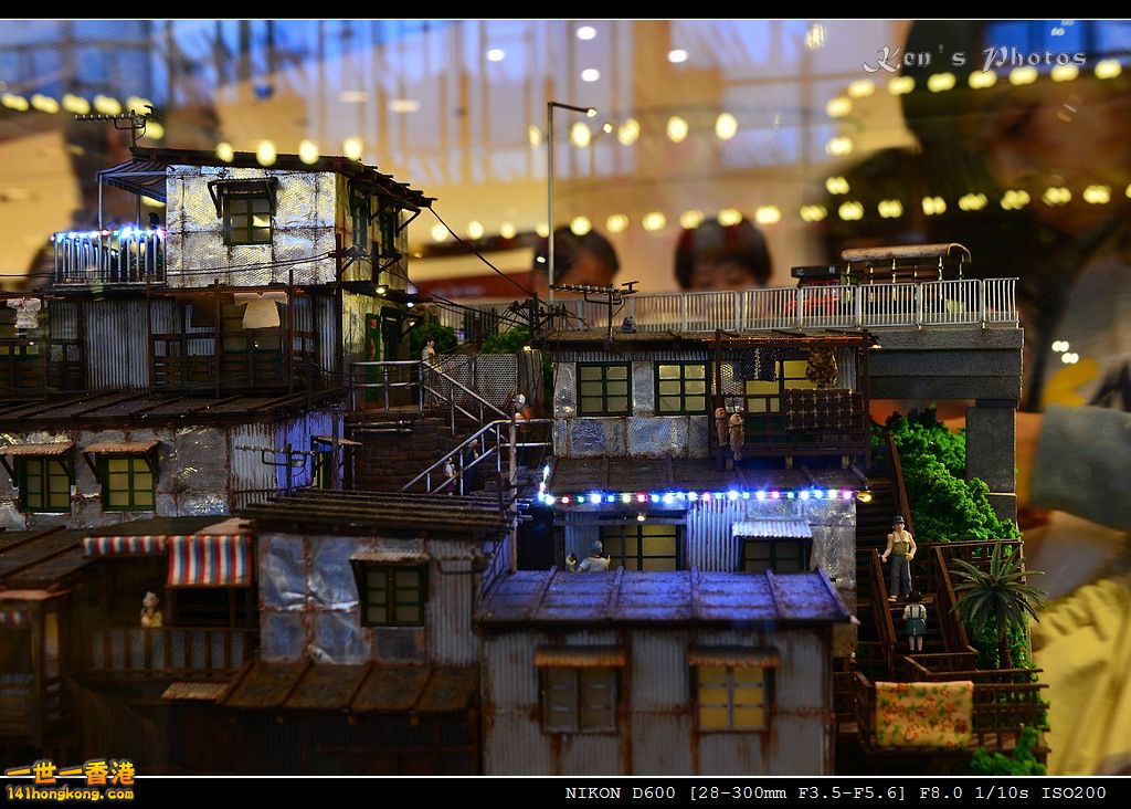 DSC_3587.jpg