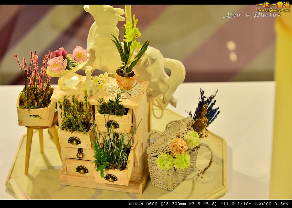DSC_3557.jpg