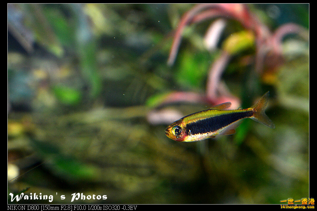 DSC_3384.jpg