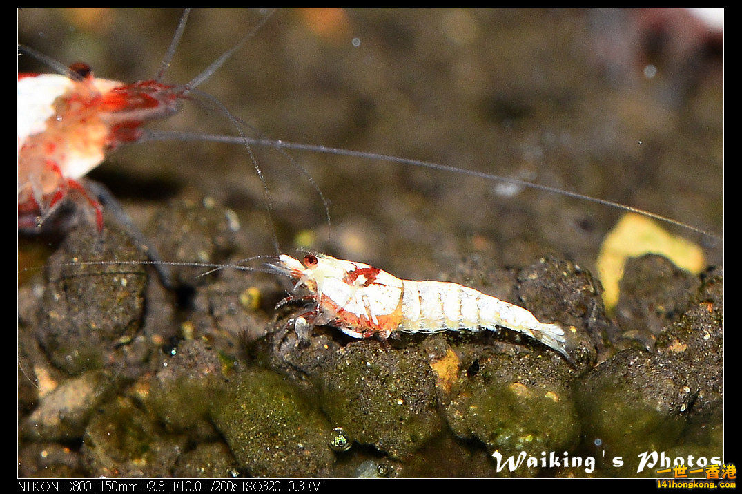 DSC_3388.jpg