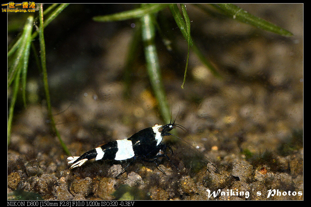DSC_3393.jpg