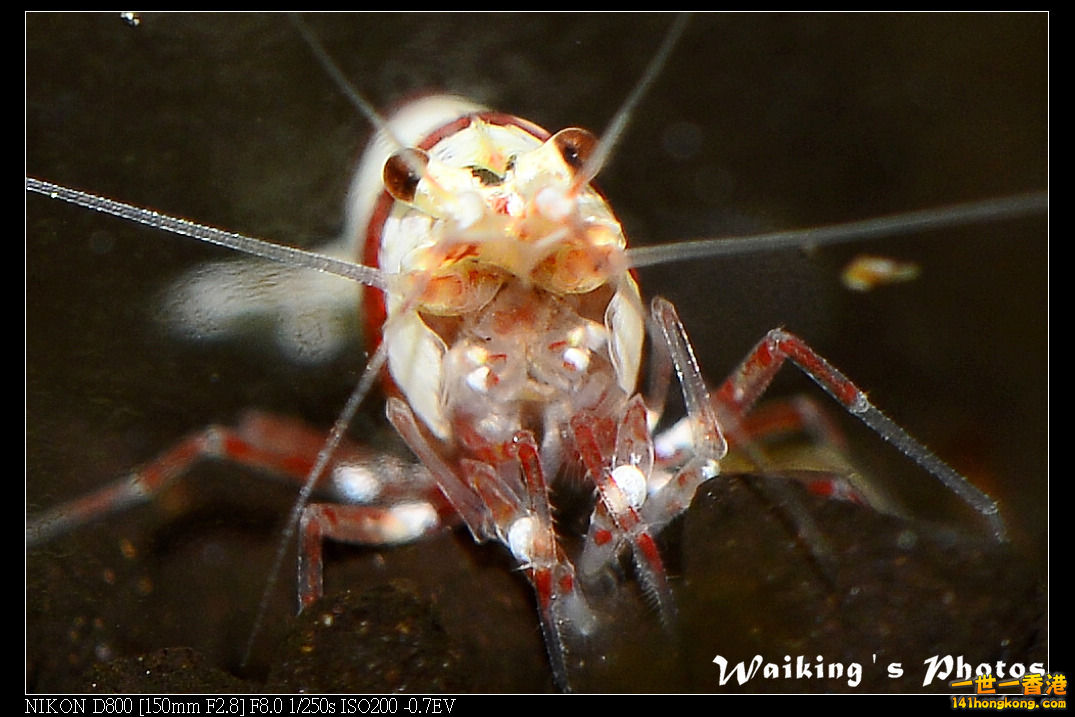 DSC_3409.jpg