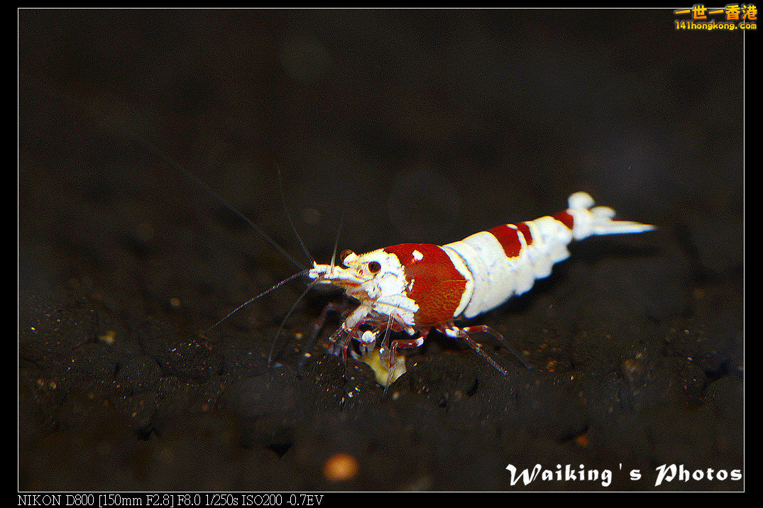 DSC_3414.jpg